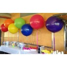 75cm Solid Colour Balloons