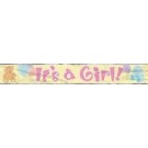 It's A Girl Foil Banner