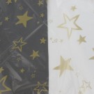 Tablecover Rectangle Clear with Gold Stars