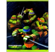 Teenage Mutant Ninja Turtles Party Loot Bags 8Pk